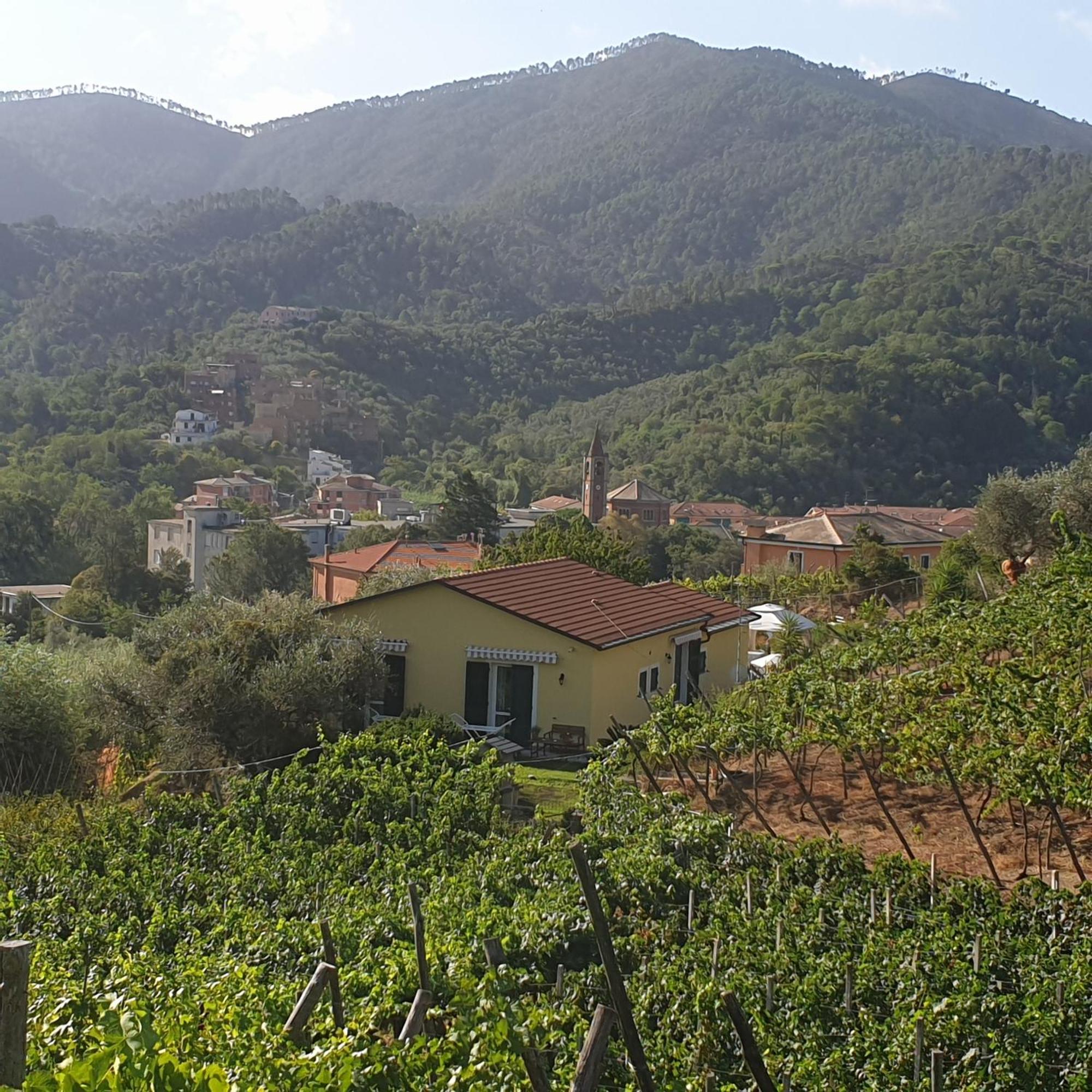 Agriturismo La Collina Verde レヴァント エクステリア 写真