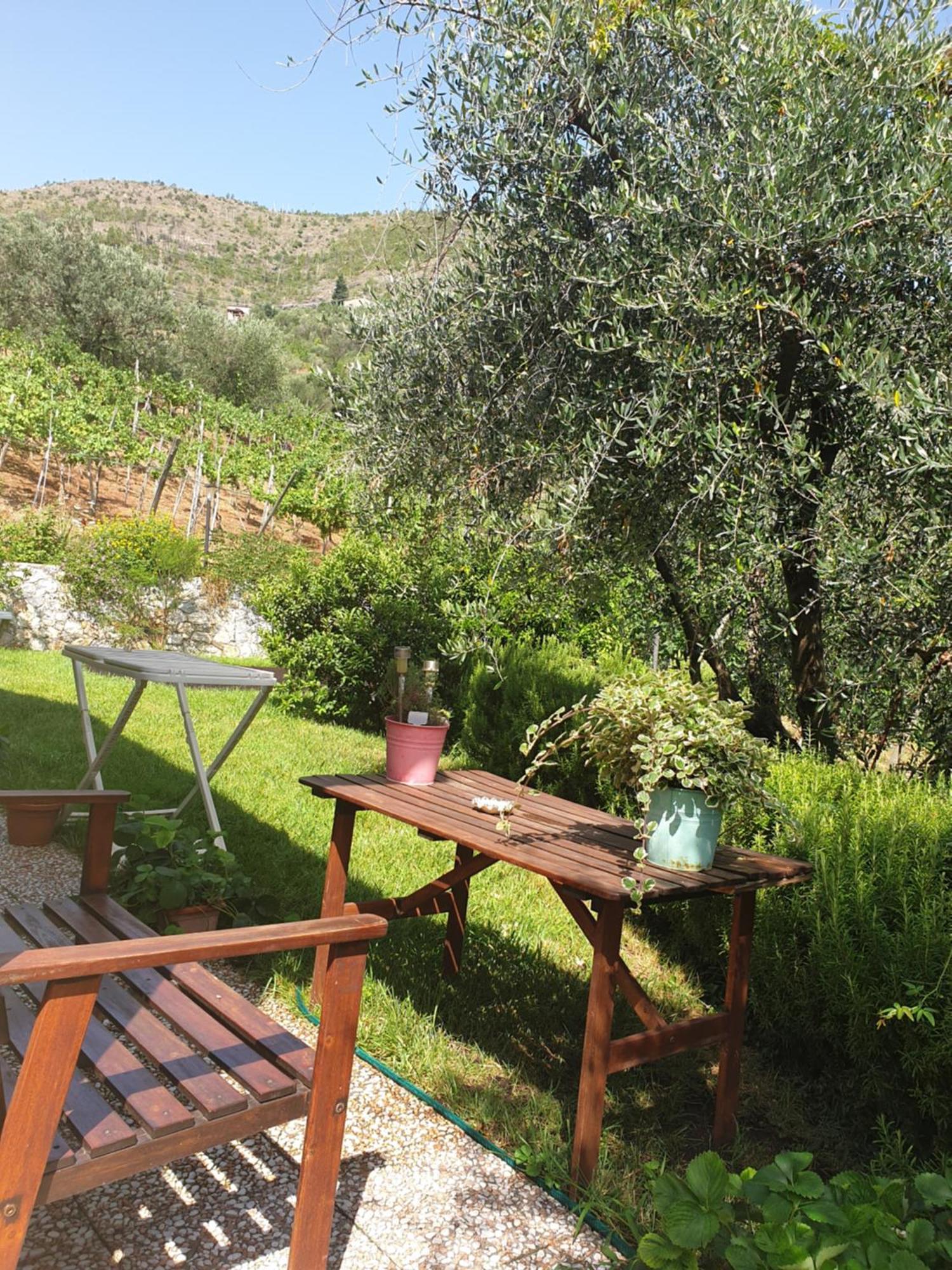 Agriturismo La Collina Verde レヴァント エクステリア 写真